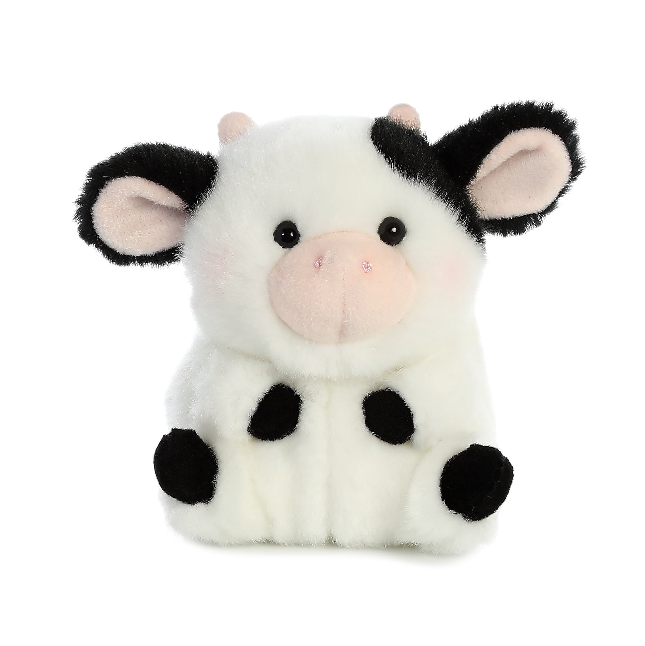Daisy Cow | Aurora Rolly Pet