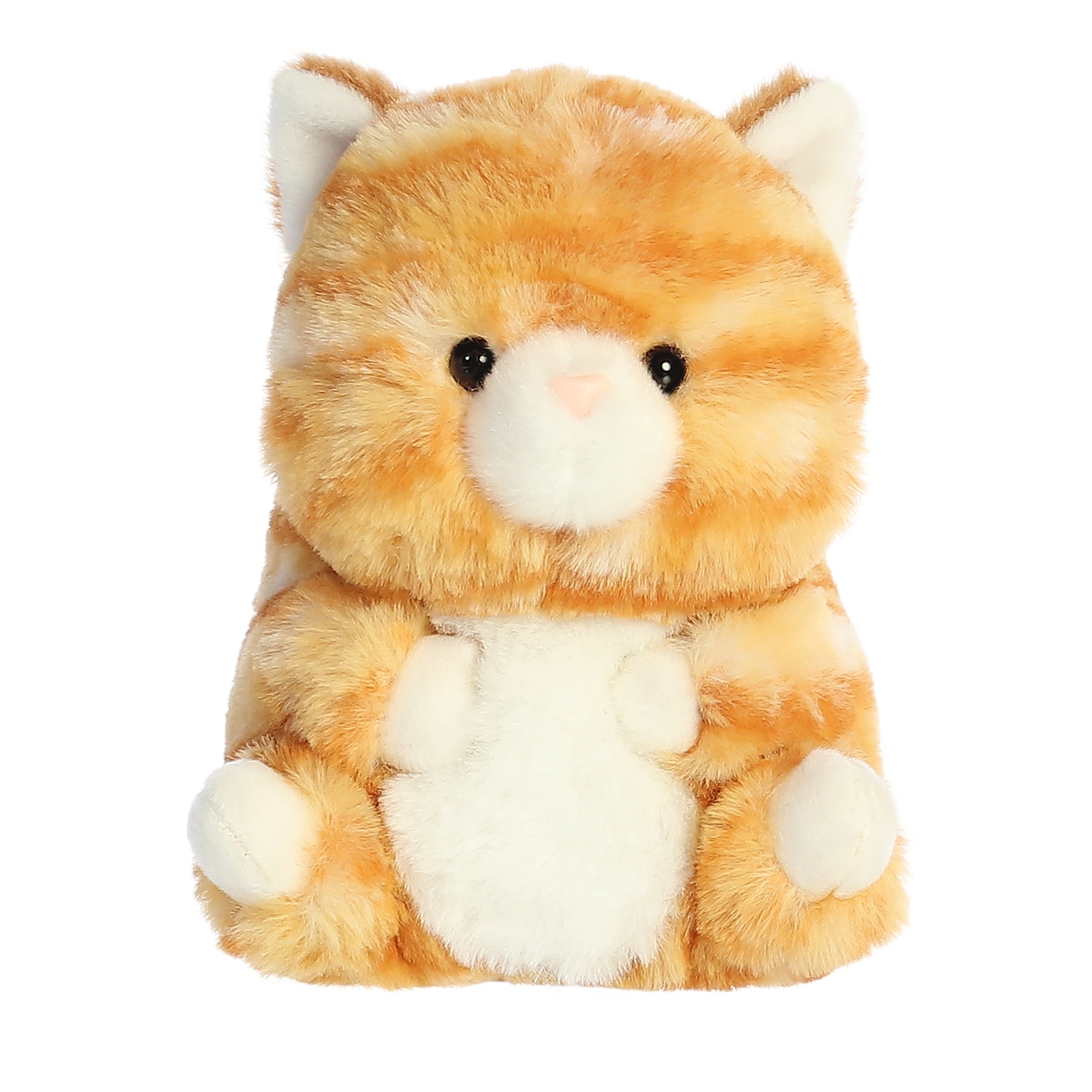 Gingersnap Kitten | Aurora Rolly Pet