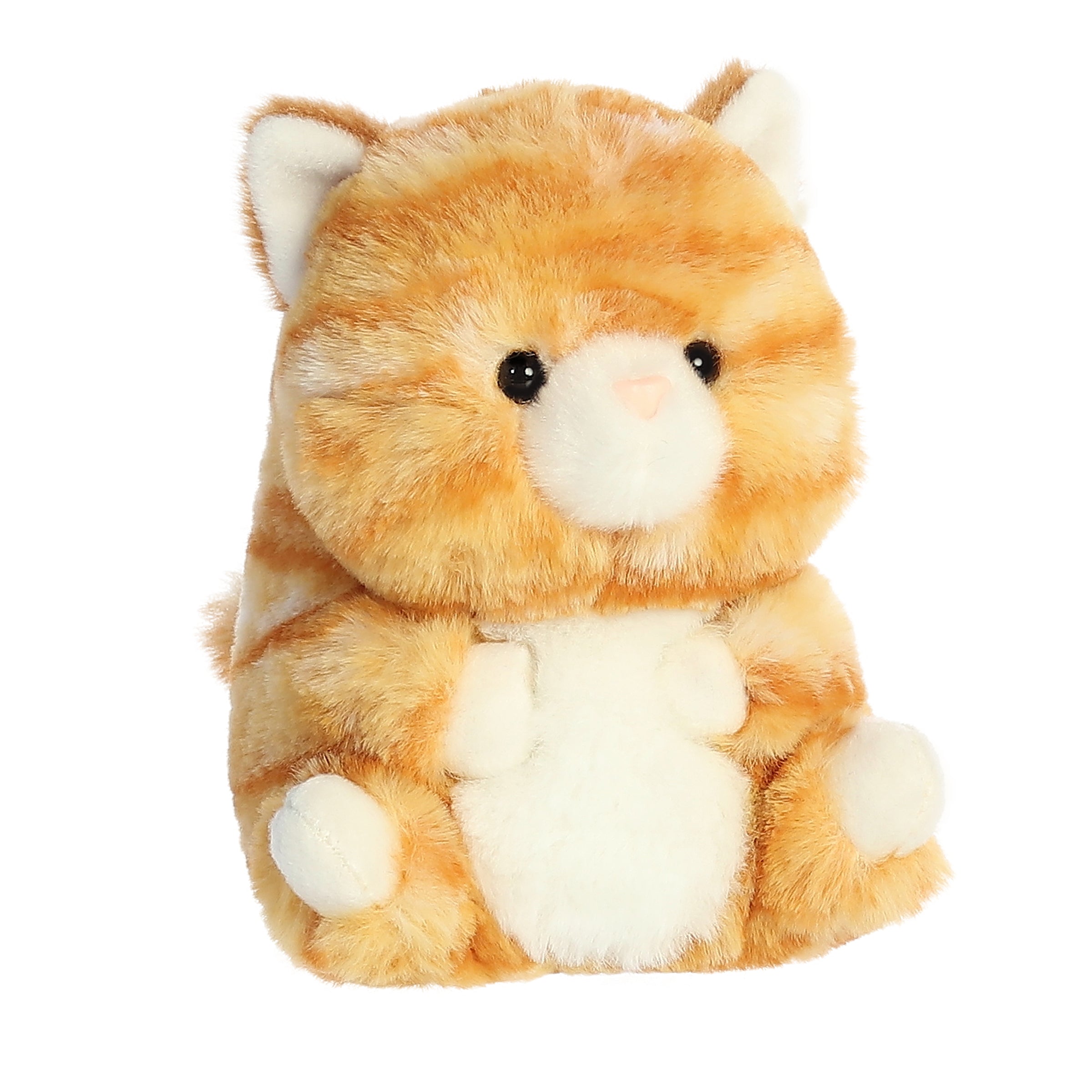 Gingersnap Kitten | Aurora Rolly Pet