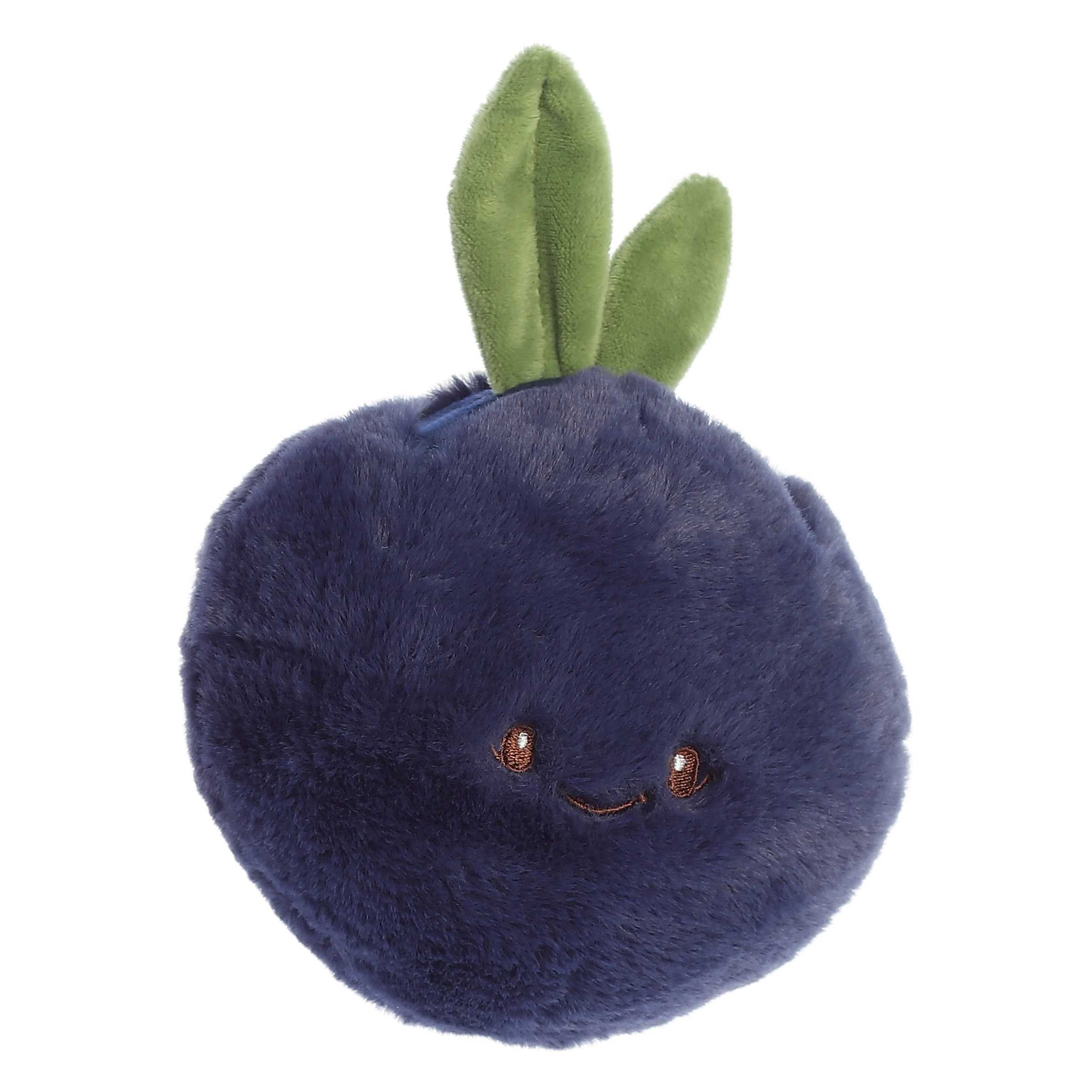 Blueberry | Ebba Precious Produce