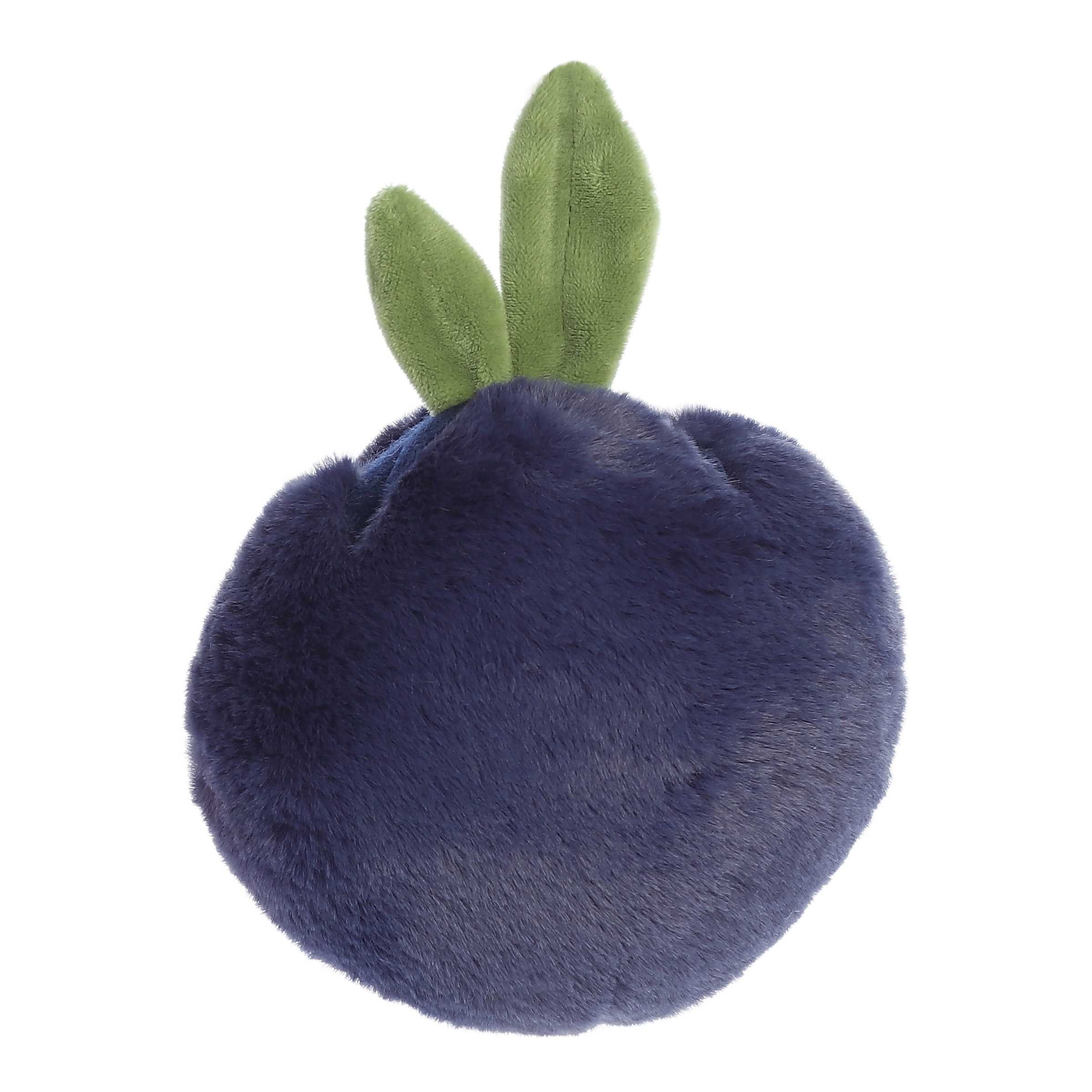 Blueberry | Ebba Precious Produce