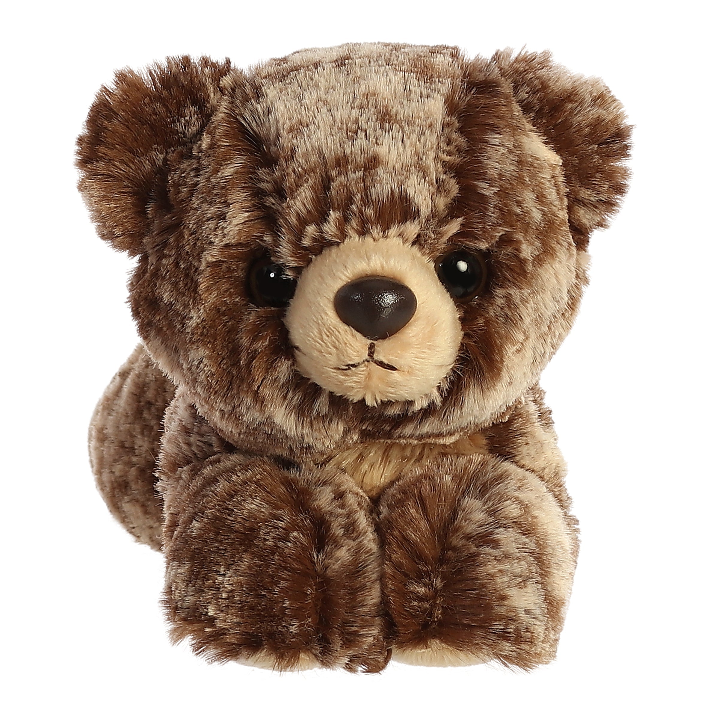 Brownie Bear | Aurora Mini Flopsie