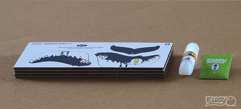 Humpback Whale | Cardboard Model Kit