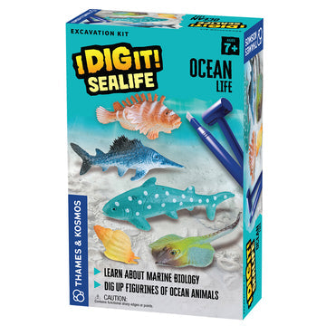 I Dig It! Sealife | Ocean Life