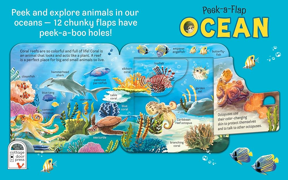 Ocean | Peek A Flap Board Book