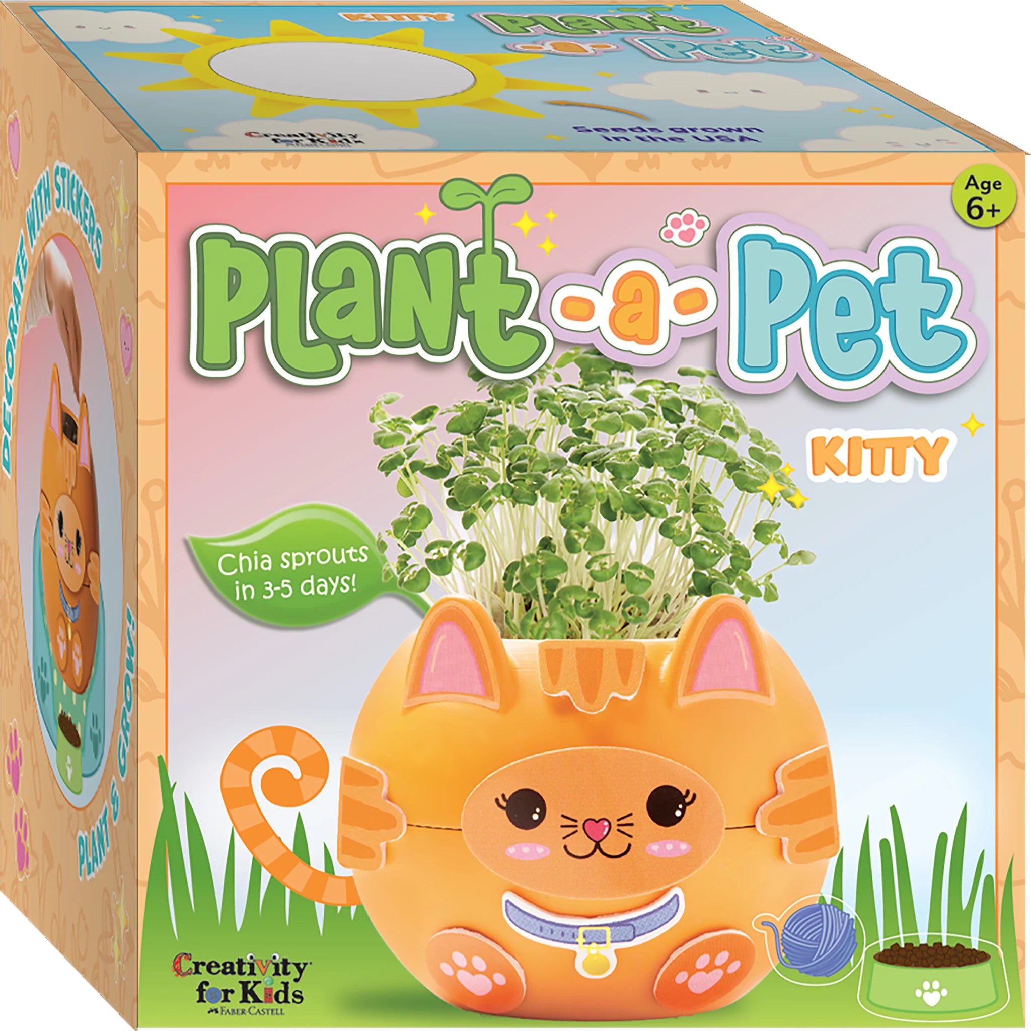 Plant A Pet Kitty | Creativity For Kids