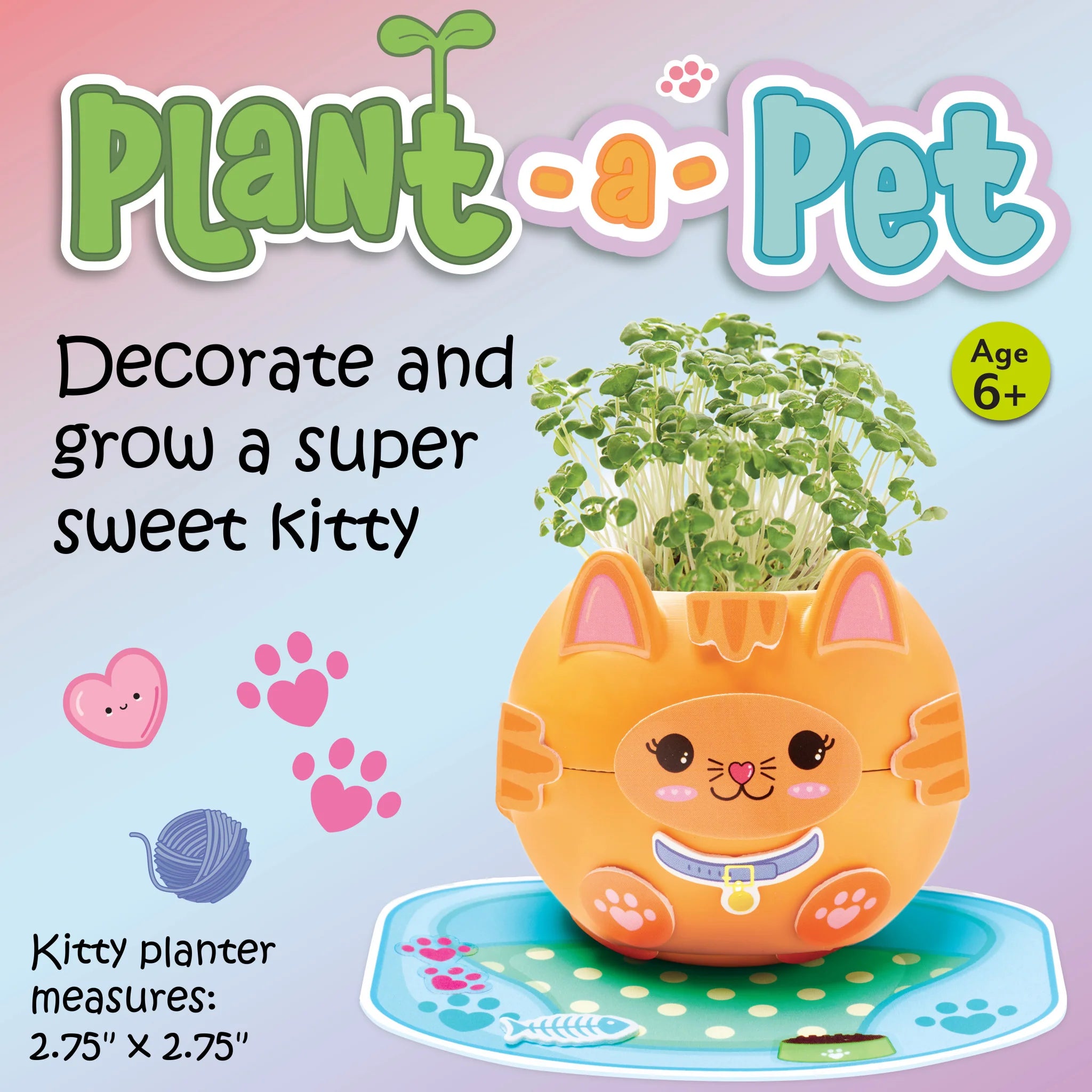 Plant A Pet Kitty | Creativity For Kids