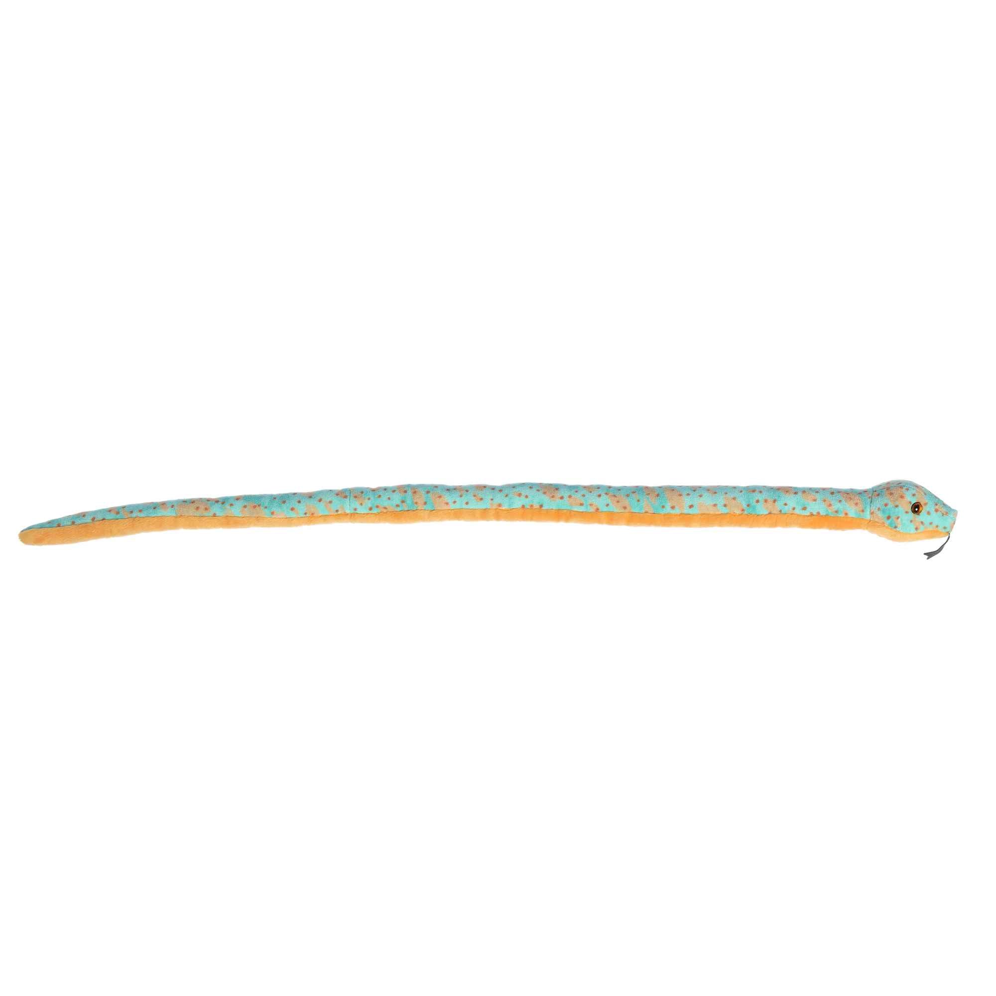 Mint Speckled Snake | Aurora