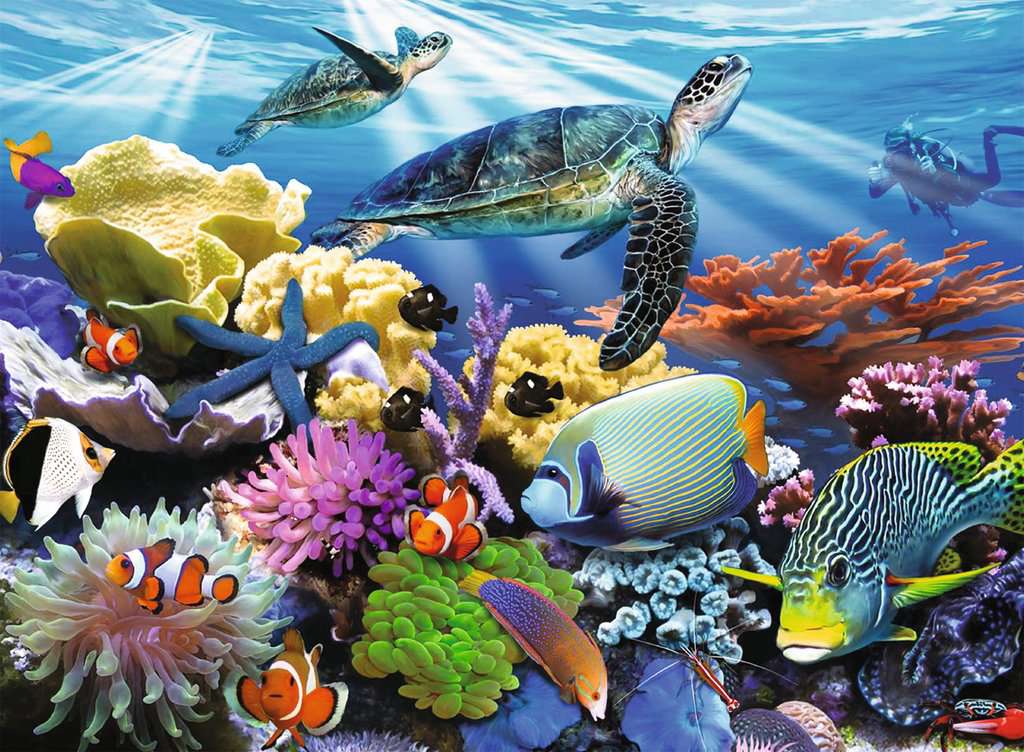 Ocean Turtles 200 piece XXL Ravensburger Puzzle Kaboodles Toy Store - Victoria