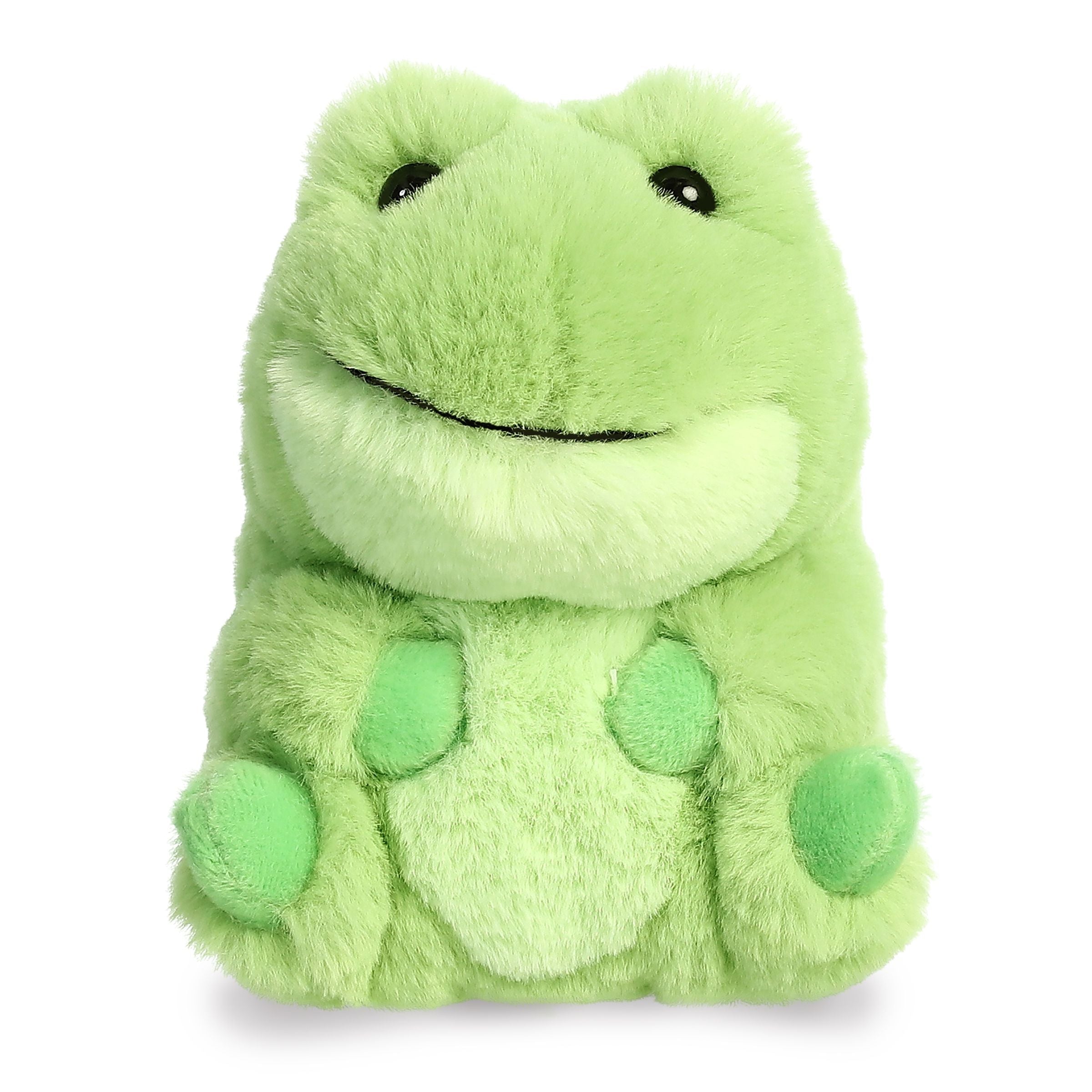 Riberto Frog | Aurora Rolly Pet