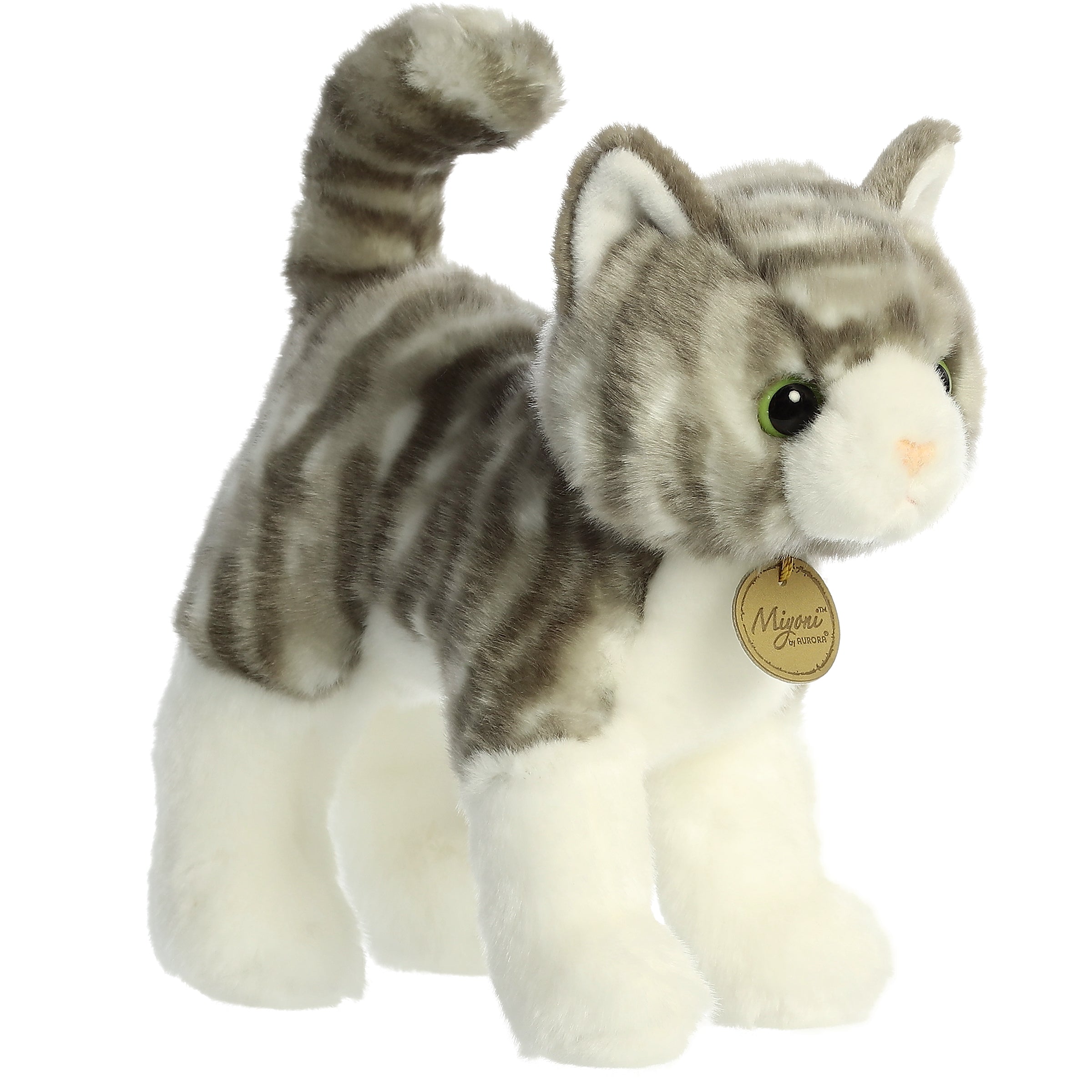 Grey Tabby Cat | Aurora Miyoni