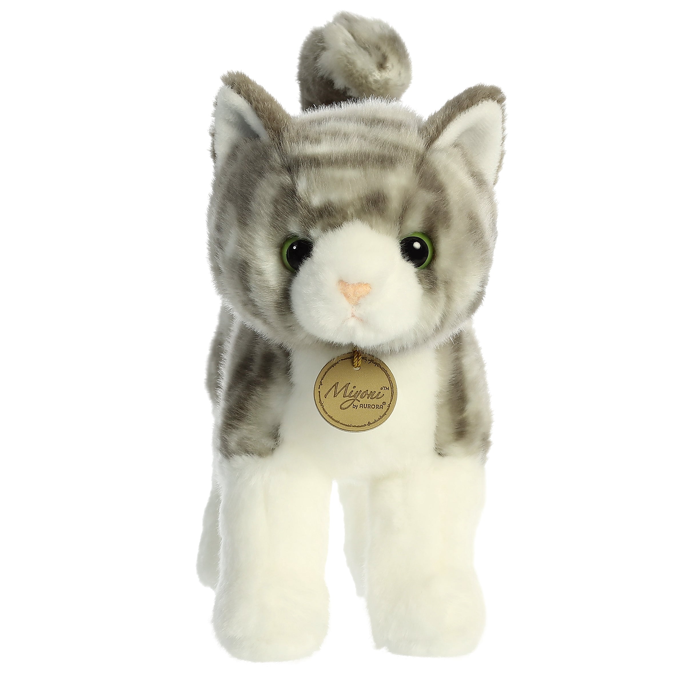 Grey Tabby Cat | Aurora Miyoni