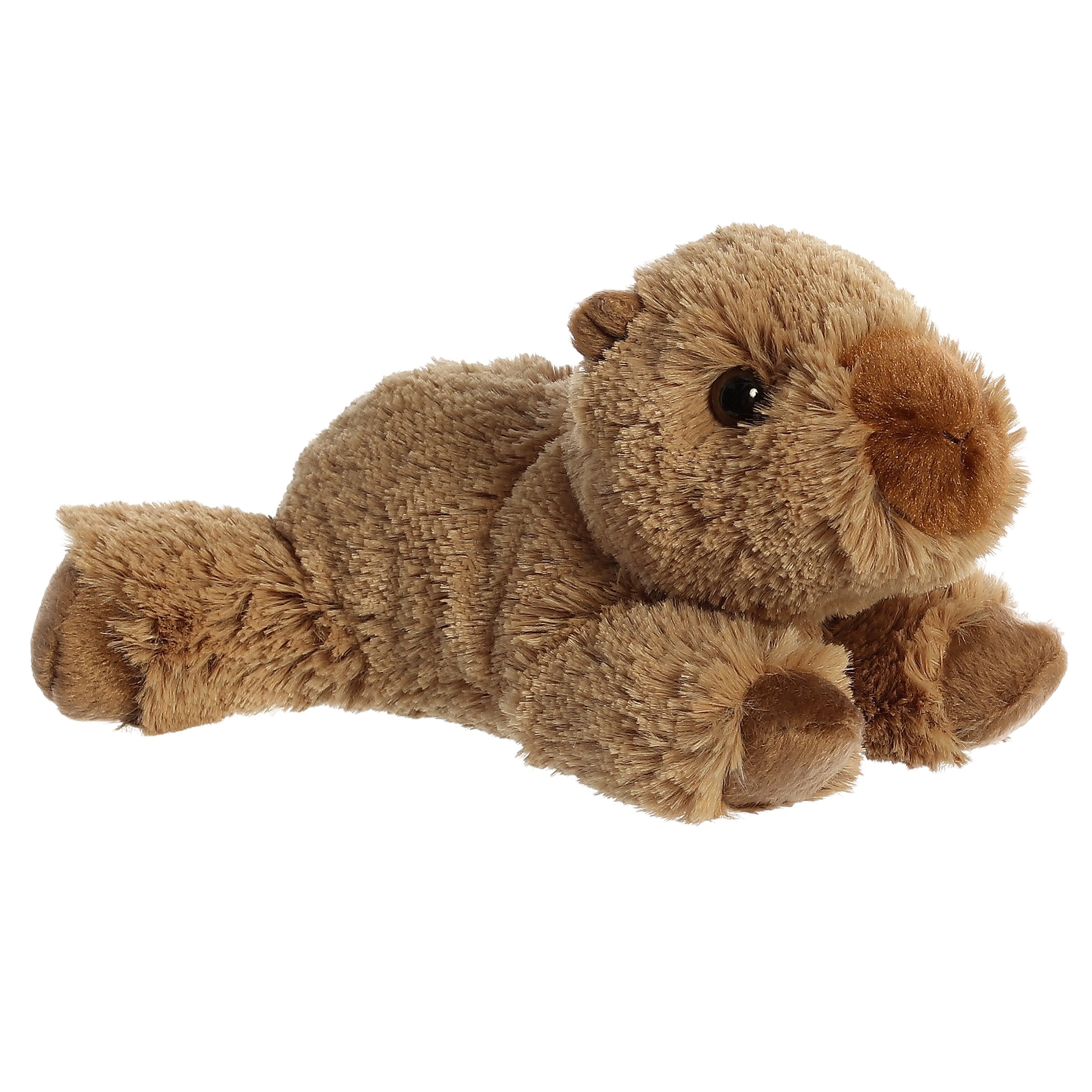 Charlie the Capybara | Aurora Mini Flopsie Kaboodles Toy Store - Victoria