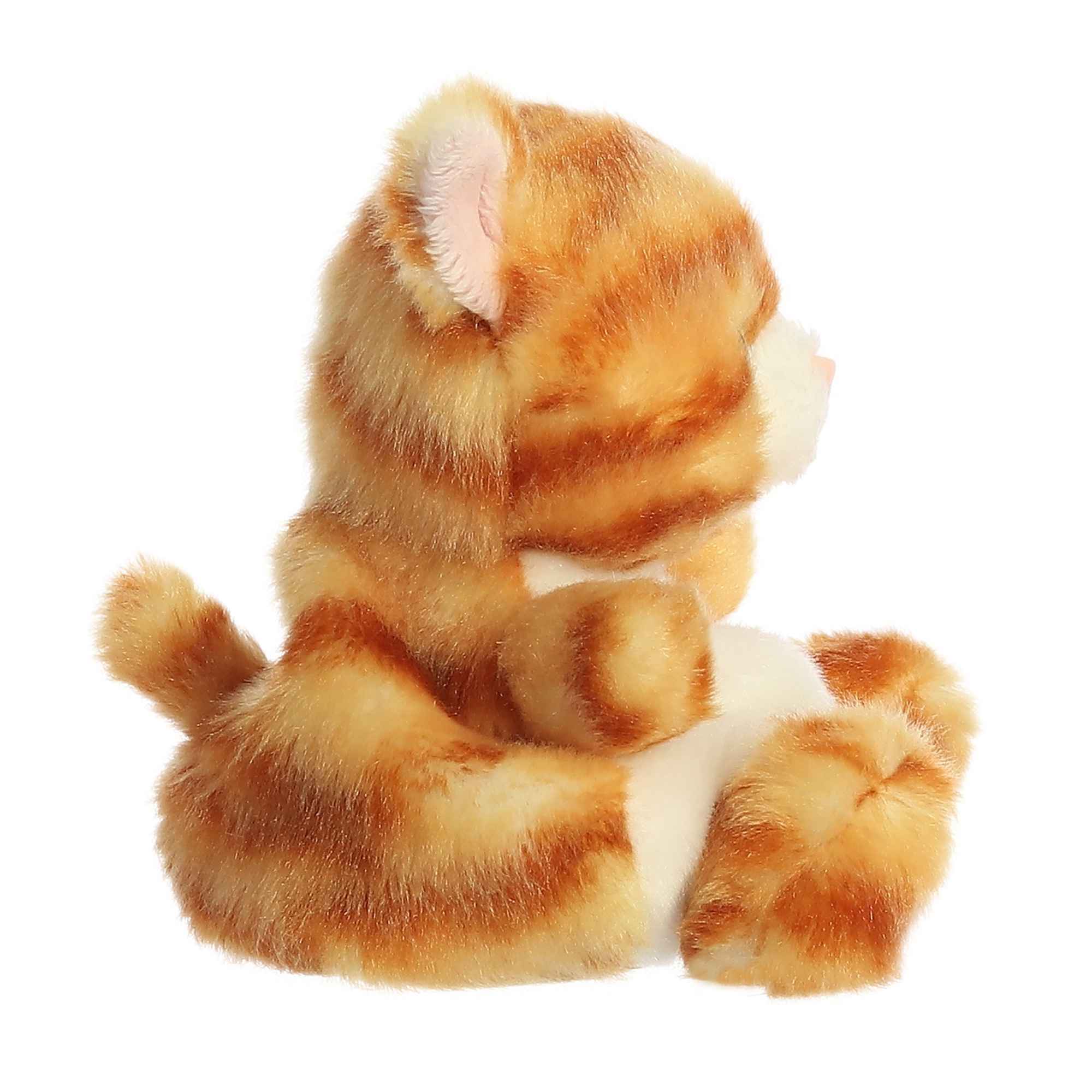Meow Kitty | Aurora Palm Pals