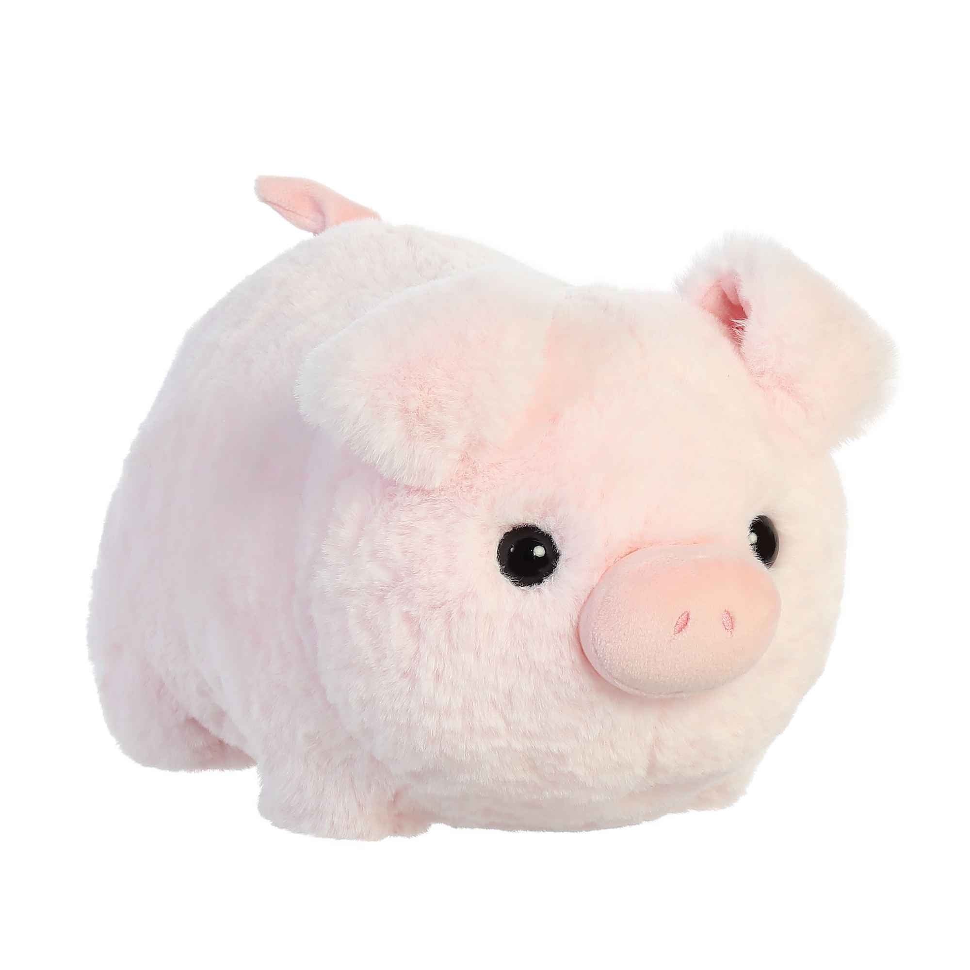 Cutie Pig | Aurora Spudster