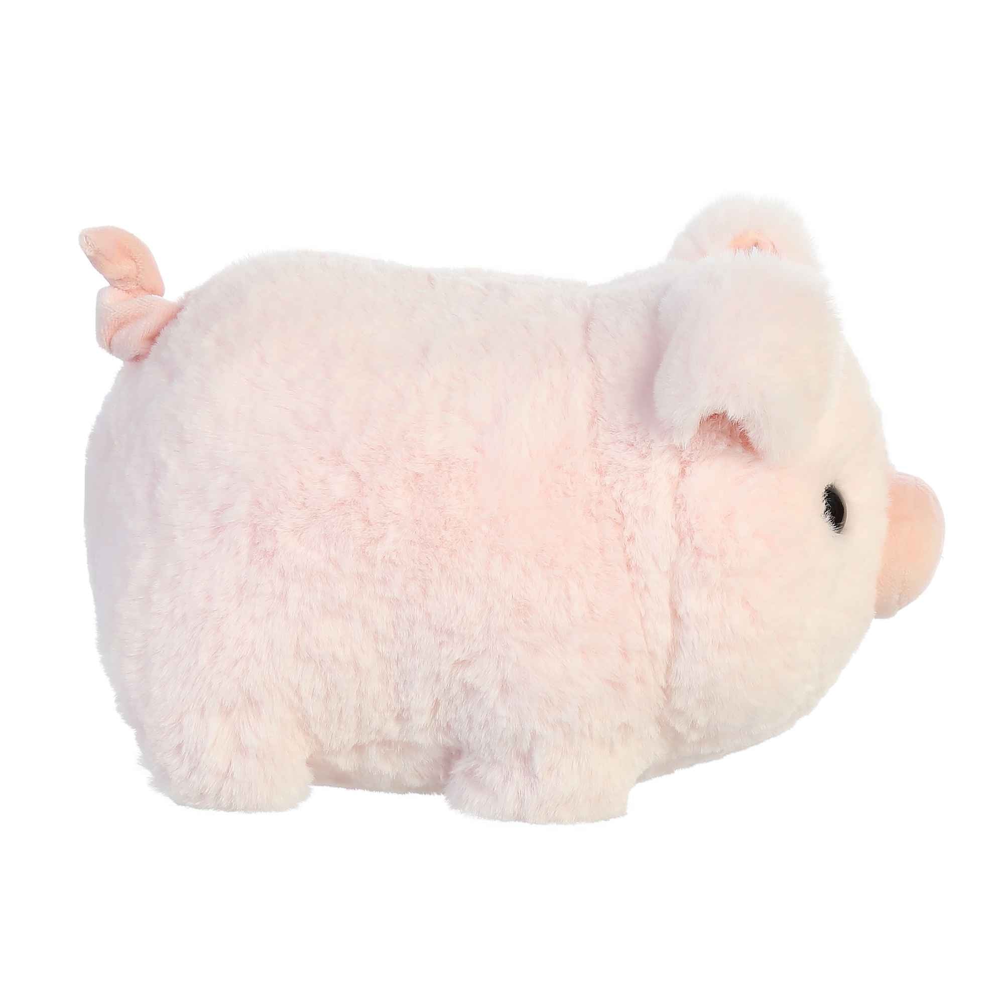 Cutie Pig | Aurora Spudster