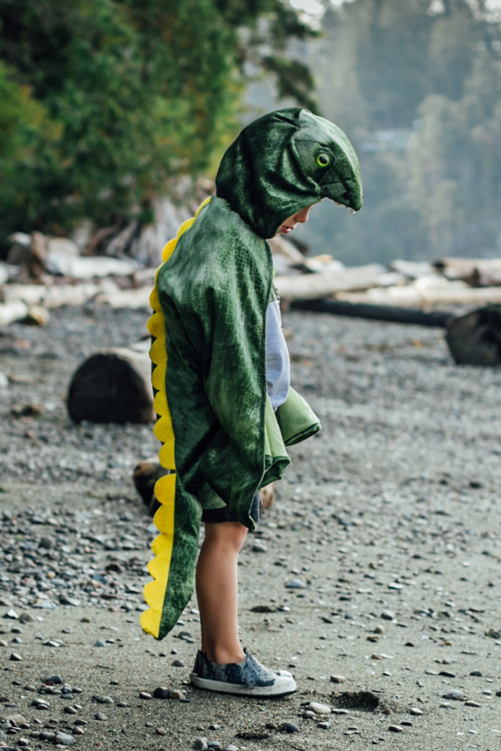 T-Rex Hooded Dinosaur Cape Kaboodles Toy Store - Victoria