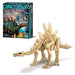 KidzLabs: Dig a Stegosaurus Skeleton Kaboodles Toy Store - Victoria