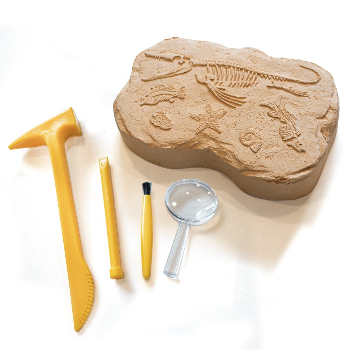 GeoSafari Fossil Excavation Kit Kaboodles Toy Store - Victoria