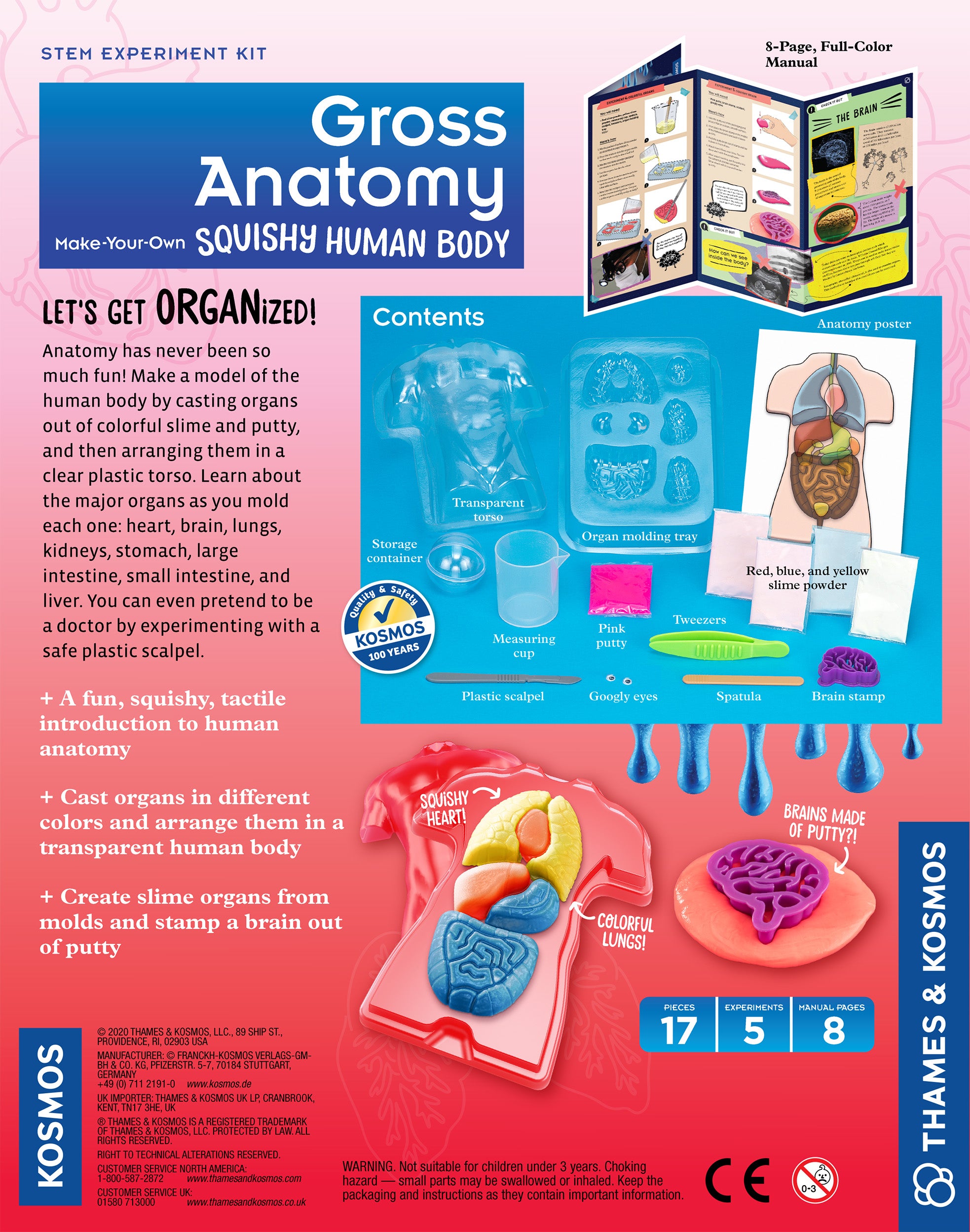 Gross Anatomy | Squishy Human Body Kaboodles Toy Store - Victoria