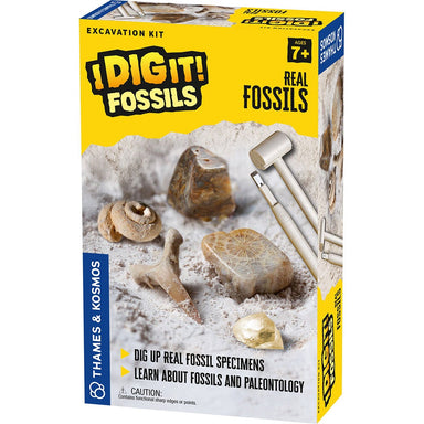 Dig It! Fossils | Real Fossils Kaboodles Toy Store - Victoria