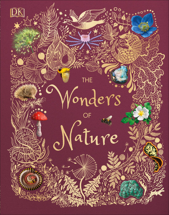 The Wonders of Nature Kaboodles Toy Store - Victoria