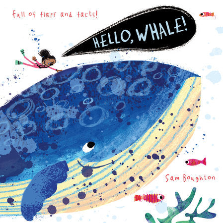 Hello, Whale! | Board Book