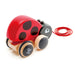Ladybug Pull Along Kaboodles Toy Store - Victoria