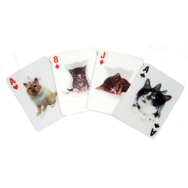 3D Cat Playing Cards Kaboodles Toy Store - Victoria