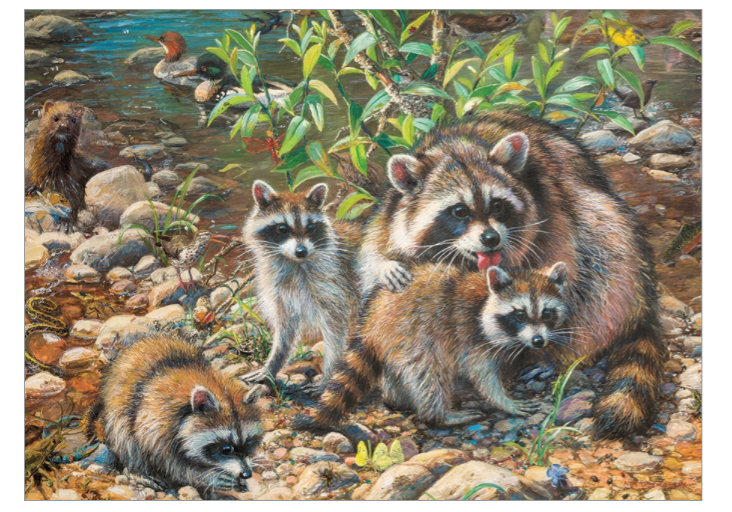 Raccoon Family 350 piece Cobble Hill Family Puzzle Kaboodles Toy Store - Victoria