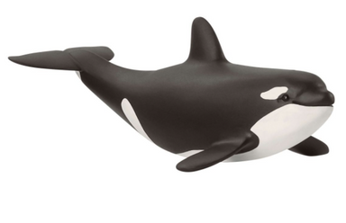 Schleich Baby Orca Kaboodles Toy Store - Victoria