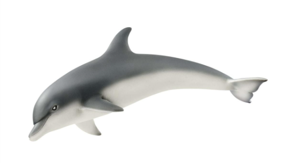 Schleich Dolphin Kaboodles Toy Store - Victoria