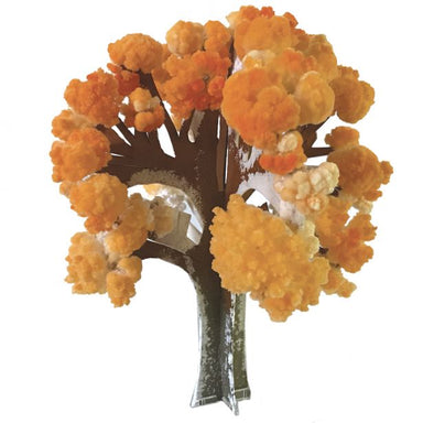 Crystal Growing Maple Tree Kaboodles Toy Store - Victoria