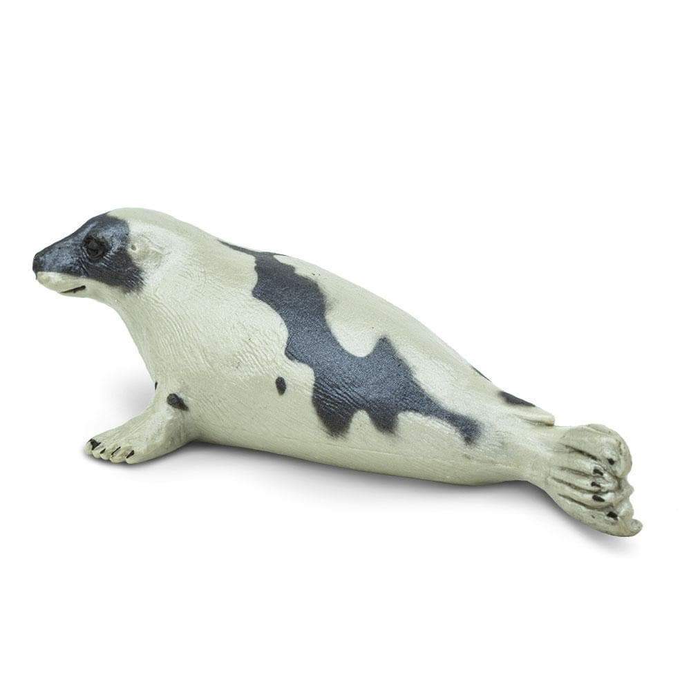 Safari Sea Life | Harp Seal Kaboodles Toy Store - Victoria