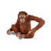 Schleich Orangutan Female Kaboodles Toy Store - Victoria