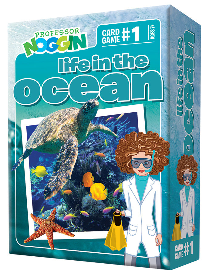 Professor Noggin: Life in the Ocean Kaboodles Toy Store - Victoria