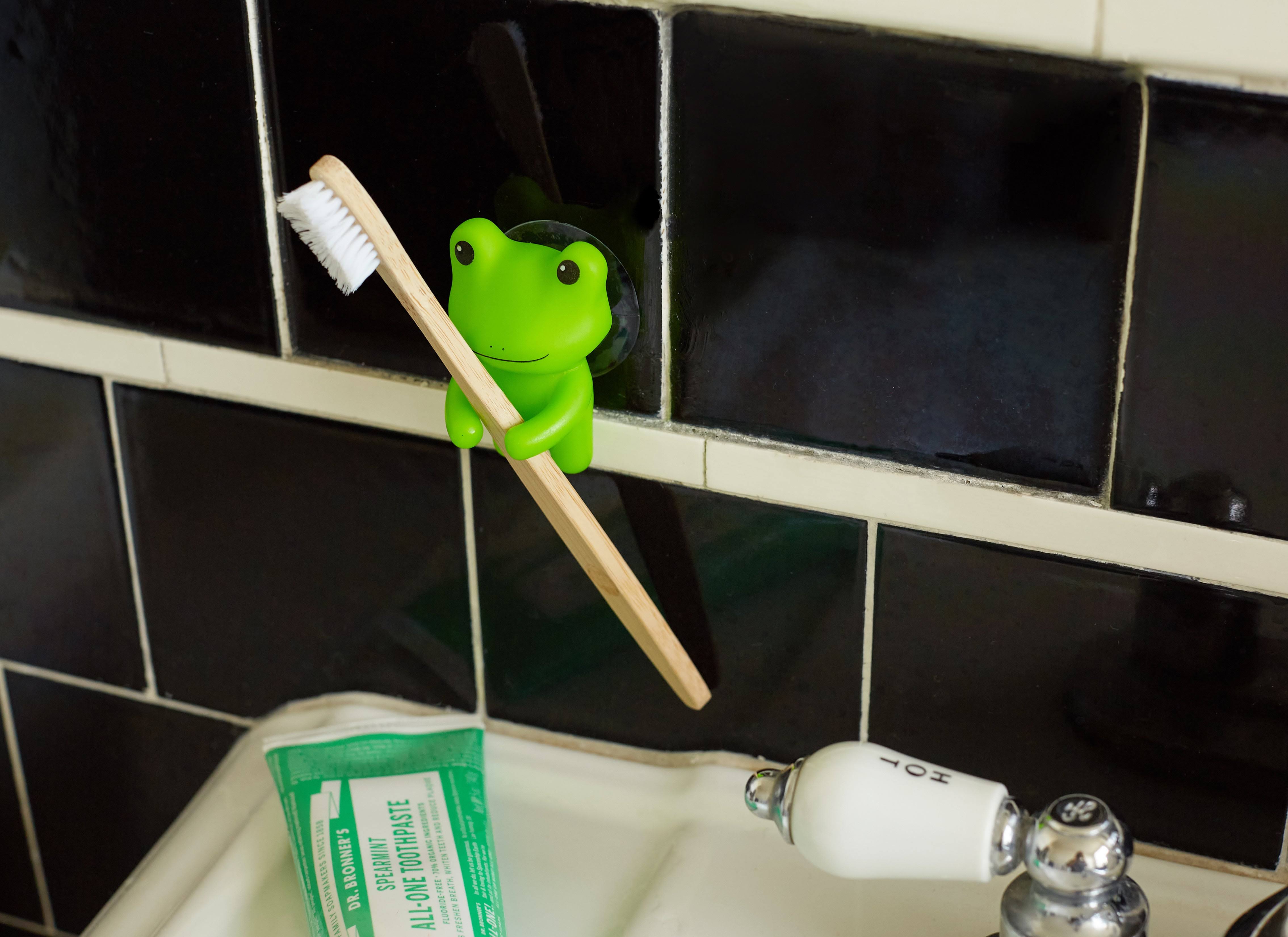 Toothbrush Holder | Frog