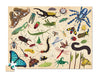 Insects 100 Piece Crocodile Creek Puzzle Kaboodles Toy Store - Victoria