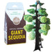 Crystal Growing Giant Sequoia Kaboodles Toy Store - Victoria